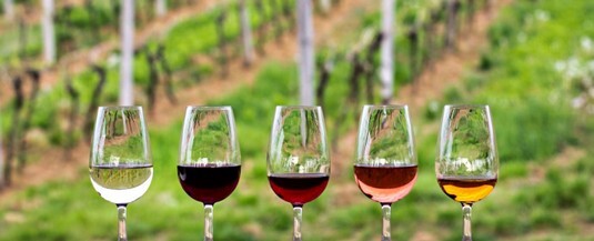 wine tasting wine tasting